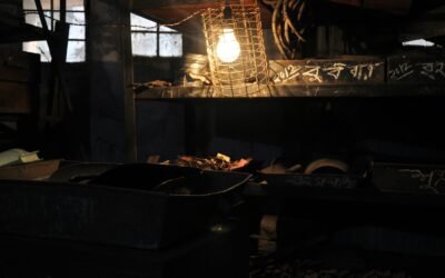 Jugaad: The Ultimate Guide to Frugal Living and DIY Fixes